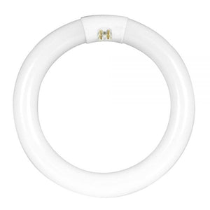 Feit Electric FC16T10/CW Circular Fluorescent Light Bulb, 16", 40 Watts