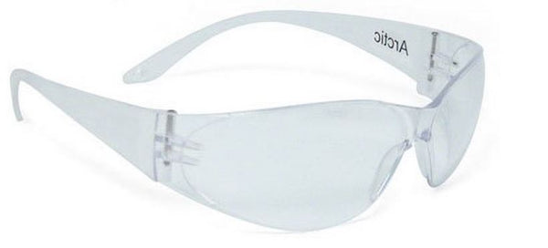 Msa Safety Works 697514 Arctic Safety Glasses with Clear Anti-Scratch Lens