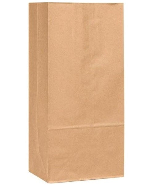 R3 30904 Extra Heavy Duty Paper Bag, Plain, Brown, 250/Bundle