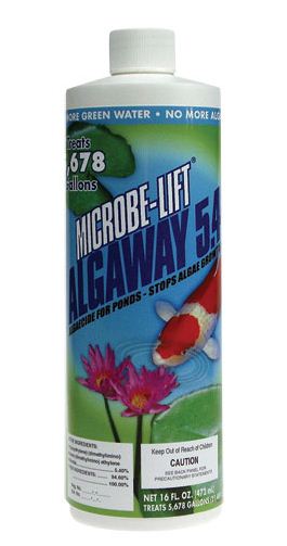 Little Giant 566075 Microbe Lift Algae Control, 16 Oz.