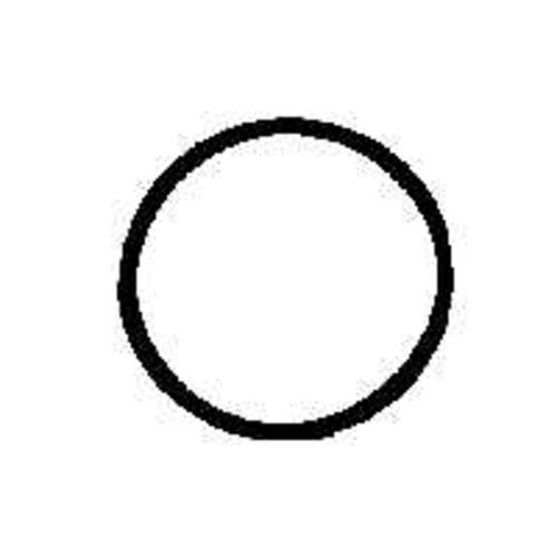 Chapin 1-2446 Premier O- Ring, Gasket