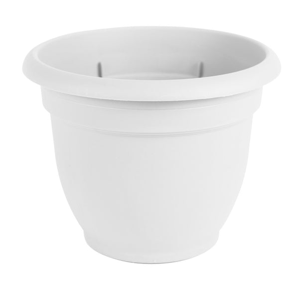 Bloem AP0610 Ariana Flower Pot, Plastic, White Terracotta, 5.1" x 6.5"