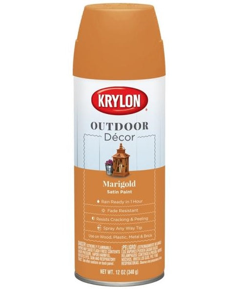 Krylon K09329000 Outdoor Decor Spray Paint, 12 Oz