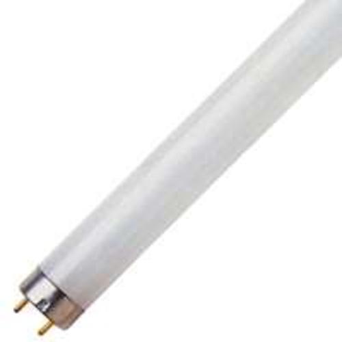 Feit Electric F8T5/CW Fluorescent Cool White Bulb, 8W, 12"
