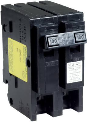 Double Pole Circuit Breaker 100 Amp