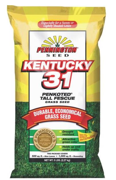 Pennington 100516050 Kentucky 31 Tall Fescue Penkoted Grass Seed, 5 Lb