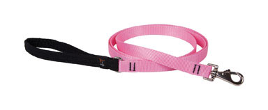 Lupine 57509 Nylon Pink Dog Leash, 3/4" x 6&#039;