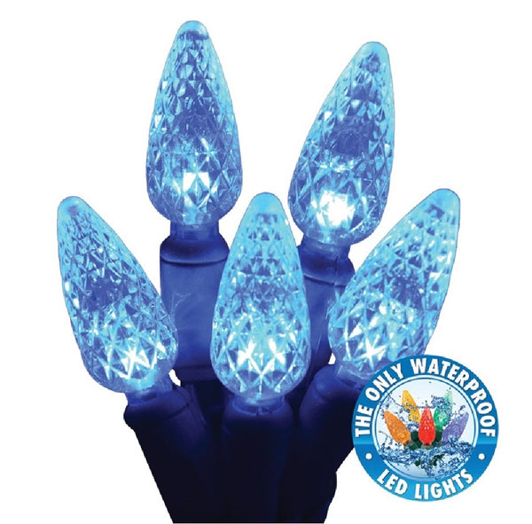 Holiday Bright Lights LED-C6R100-BL Led Reel Christmas Light Set