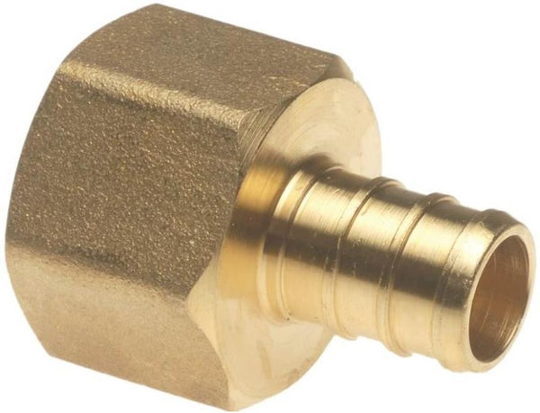 Apollo APXFA12125PK PEX Female Adapter, 1/2" x 1/2", Brass, 5/Pack