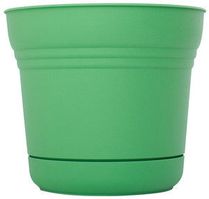 Bloem SP1225 Plastic Round Saturn Planter with Saucer, 12", Honey Dew