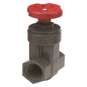 Nds GVG-1000-S ProGuard Gate Valve, 1"