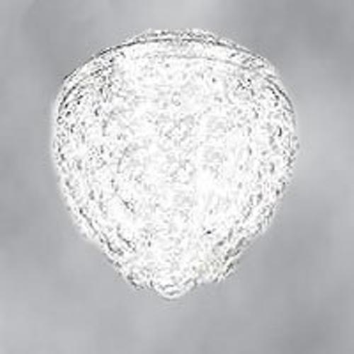 Westinghouse 8560200 Gls Acorn Light Globe/Shade