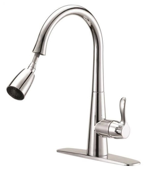 Boston Harbor FP4A0061CP Single Handle Kitchen Faucets, Chrome