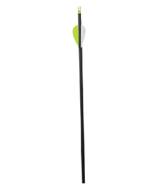 Allen 9122 Archery Carbon Arrows, 31 Inch