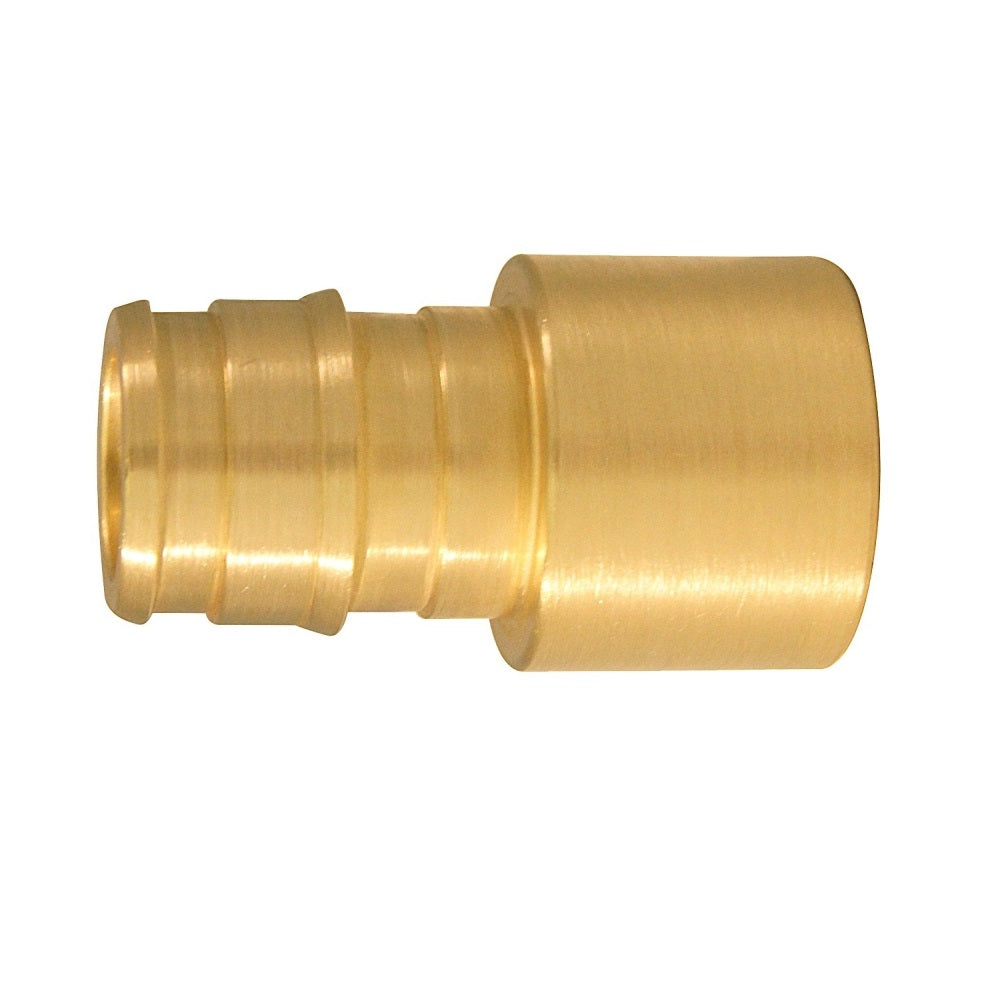 Apollo Valves EPXFS1212 Adapter, Brass