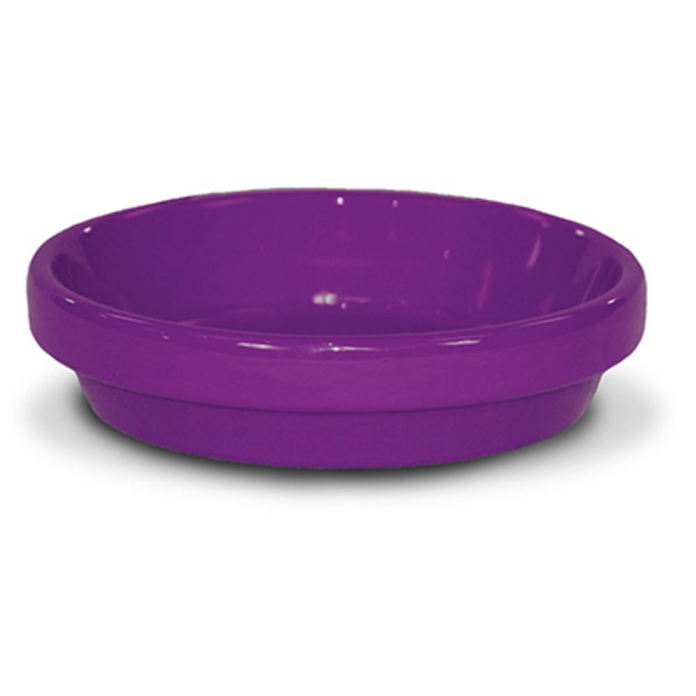 Ceramo PCSABX-8-V-TV Powder Coated Ceramic Saucer, Violet