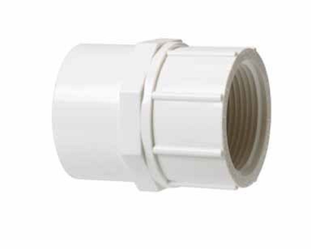 Charlotte Pipe PVC 02101 1200HA Female Adapter, White, 1-1/4"