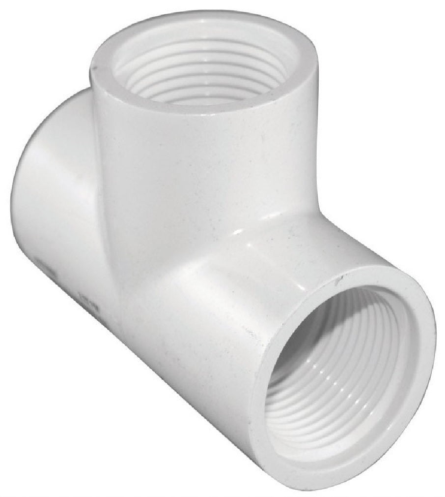 Charlotte Pipe PVC 02402 1000HA Female Iron Thread Pipe Tee, White, 1 Inch