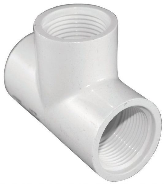 Charlotte Pipe PVC 02402 1000HA Female Iron Thread Pipe Tee, White, 1 Inch