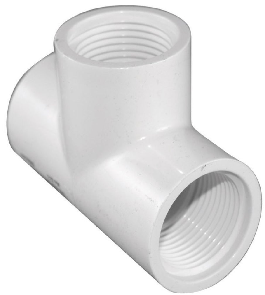 Charlotte Pipe PVC 02402 0800HA Female Iron Thread Pipe Tee, White, 3/4 Inch