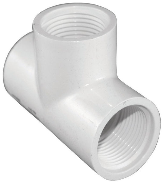 Charlotte Pipe PVC 02401 1400HA Pressure Tee, White, 1-1/2 Inch