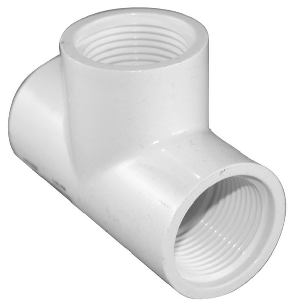Charlotte Pipe PVC 02402 0600HA Threaded Tee, White