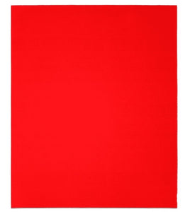 Diablo DCS911100S01B Sanding Sheet, Ceramic