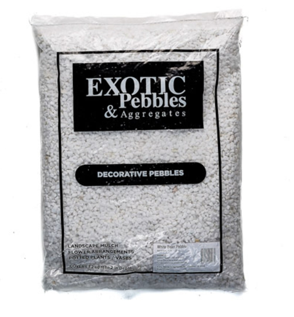 Exotic Pebbles & Aggregates BPW20-461 Decorative Bean Pebbles, White