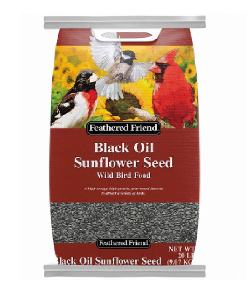 Feathered Friend 14421 Black Oil Sunflower Seed Wild Bird Food, 20-Lbs