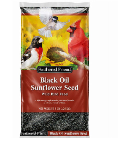 Feathered Friend 14416 Black Oil Sunflower Seed Wild Bird Food, 5-Lbs