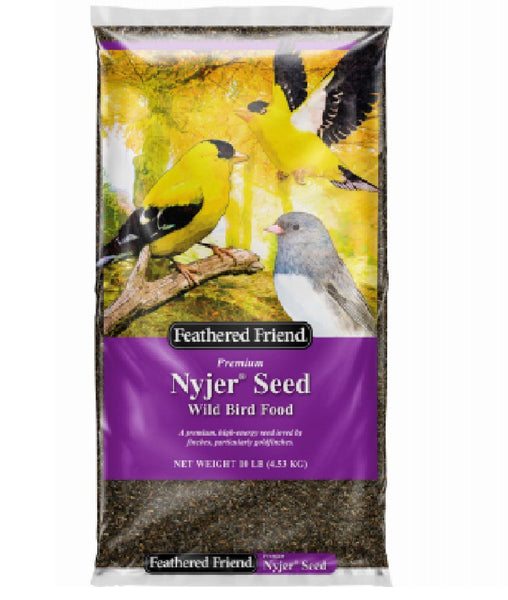 Feathered Friend 14402 Nyjer Seed Wild Bird Food, 10-Lb