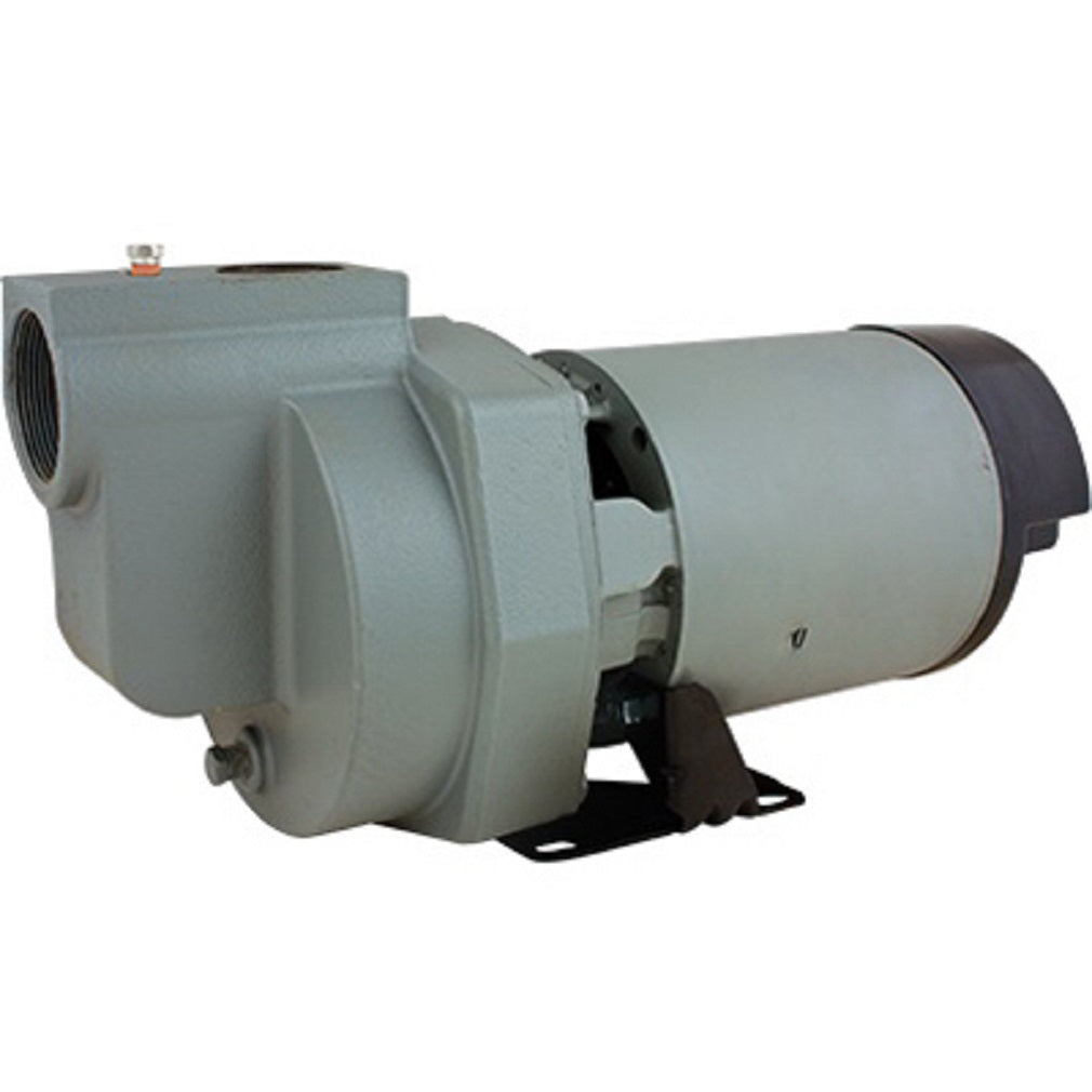 Flint & Walling HSP15P1 Lawn Sprinkler Irrigation Pump, 1.5 HP