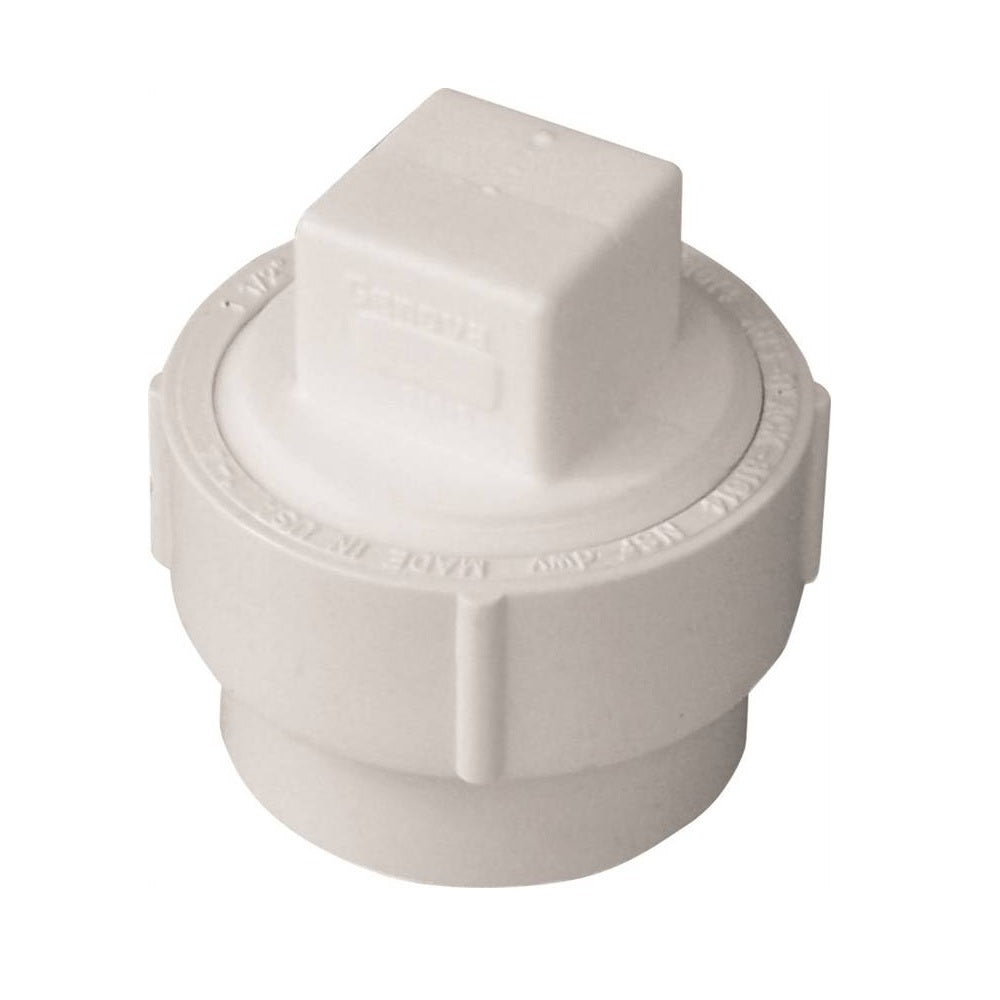 Genova 193702AS Fitting Cleanout with Threaded Plug, 2 Inch