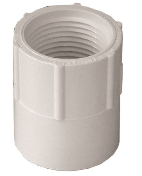 Genova 435007CPRMC 300 Series Pipe Adapter, White, 3/4 Inch