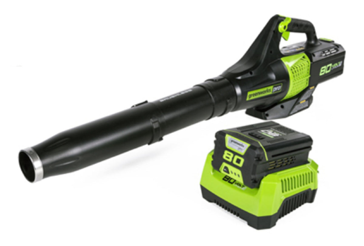 Greenworks 2404802 Backpack Blower, 80 Volts