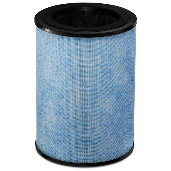 Instant 210-0062-01 F300 Air Purification Filter, Large