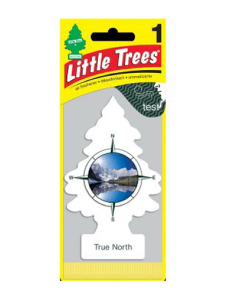 Little Trees U1P-17146 True North Air Freshener