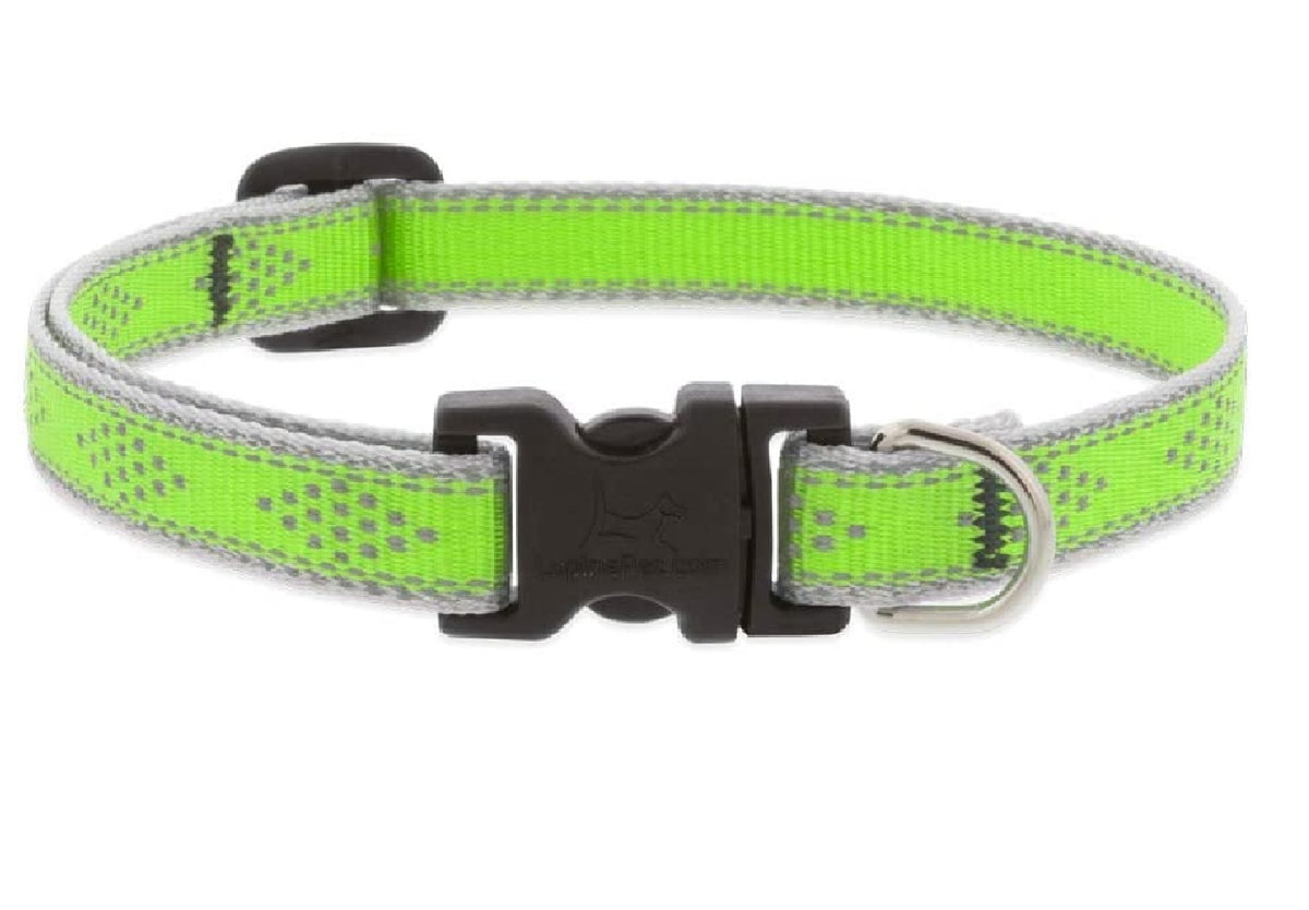 Lupine Pet 48134 Adjustable Dog Collar, 1/2 Inch x 8-12 Inch