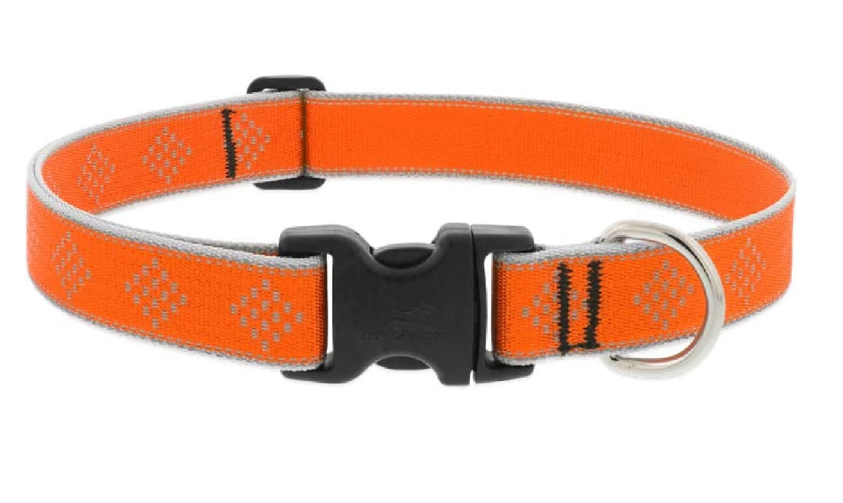 Lupine Pet 48352 Adjustable Dog Collar, 1 Inch x 12-20 Inch