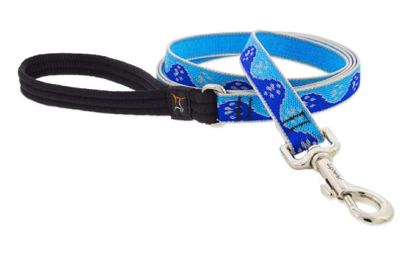 Lupine Pet 48409 Reflective Dog Leash, 3/4 Inch x 6 Feet