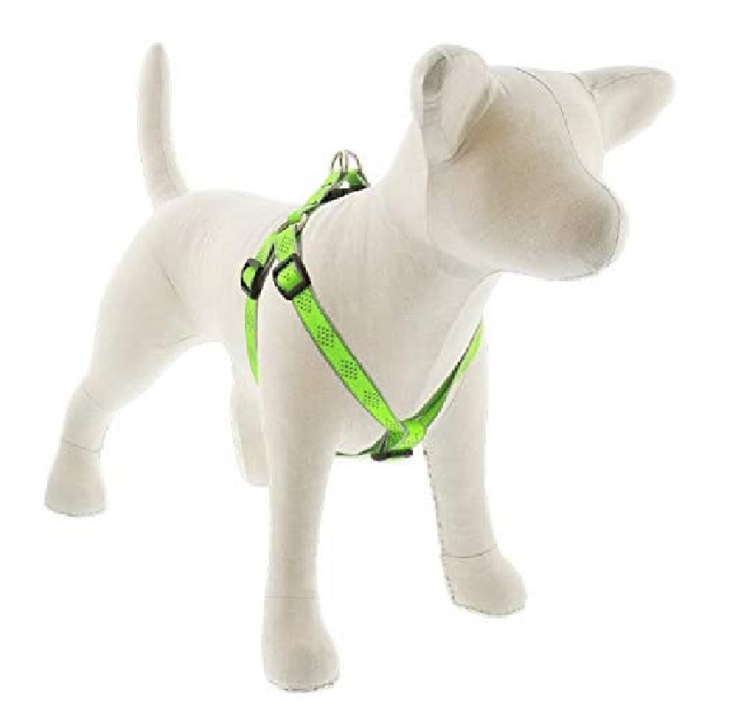 Lupine Pet 48144 Reflective Step in Dog Harness, 3/4 Inch x 15-21 Inch