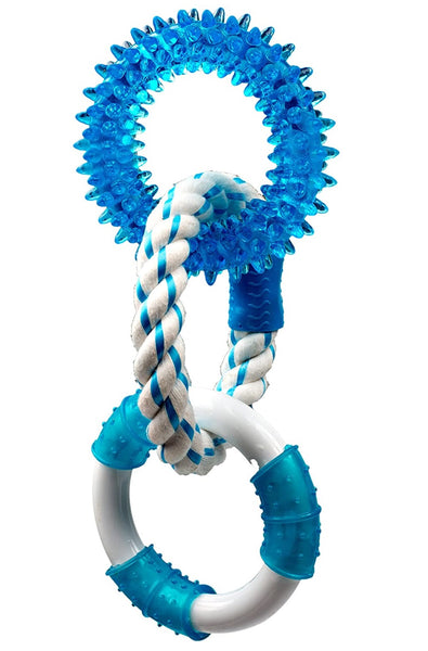 Multipet 51155 Canine Clean Peppermint Ring Toy, 11 Inch