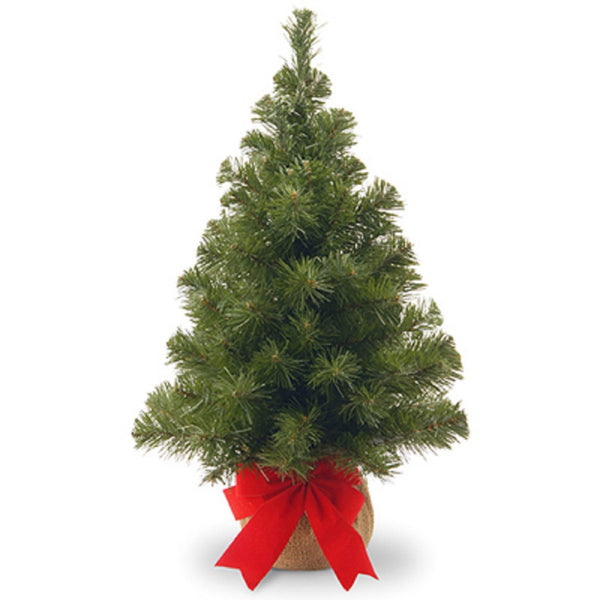 National Tree NB1-20BP-BS Noble Fir Artificial Tree, 2 Feet