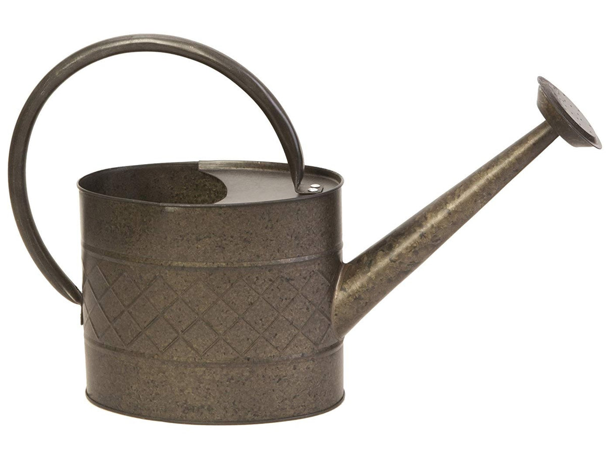 Panacea 84838 Watering Can, 1 Gallon