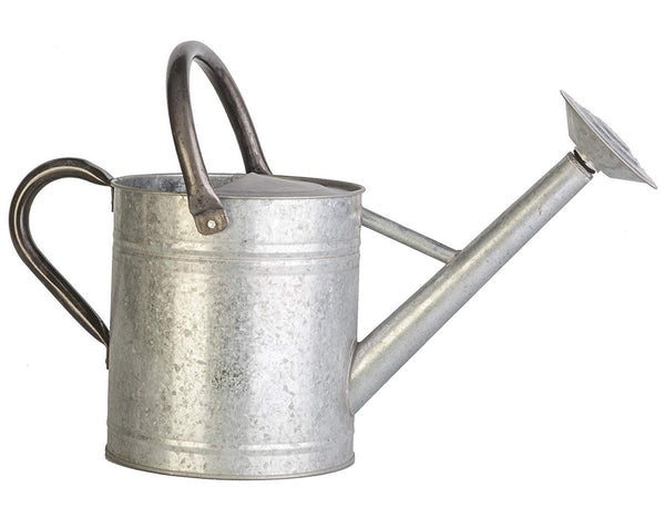 Panacea 84882 Watering Can, 1 Gallon