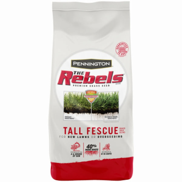 Pennington 100543729 Rebel Tall Fescue Grass Seed, 7 Lbs