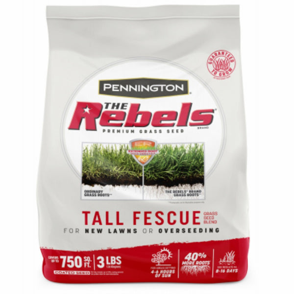 Pennington 100543728 Rebel Tall Fescue Grass Seed, 3 Lbs