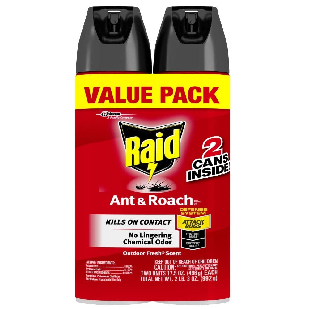 Raid 74919 Ant & Roach Killer, 17.5 Oz