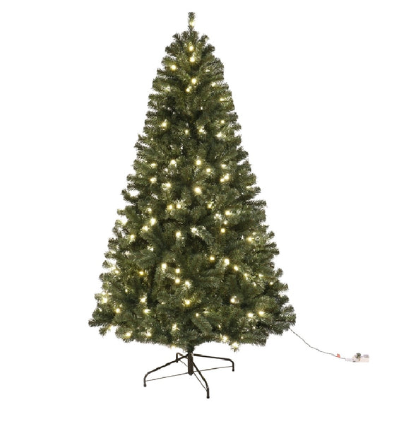 Santas Forest 61912 Fir Noble Sheared Prelit Christmas Tree, 12 Feet