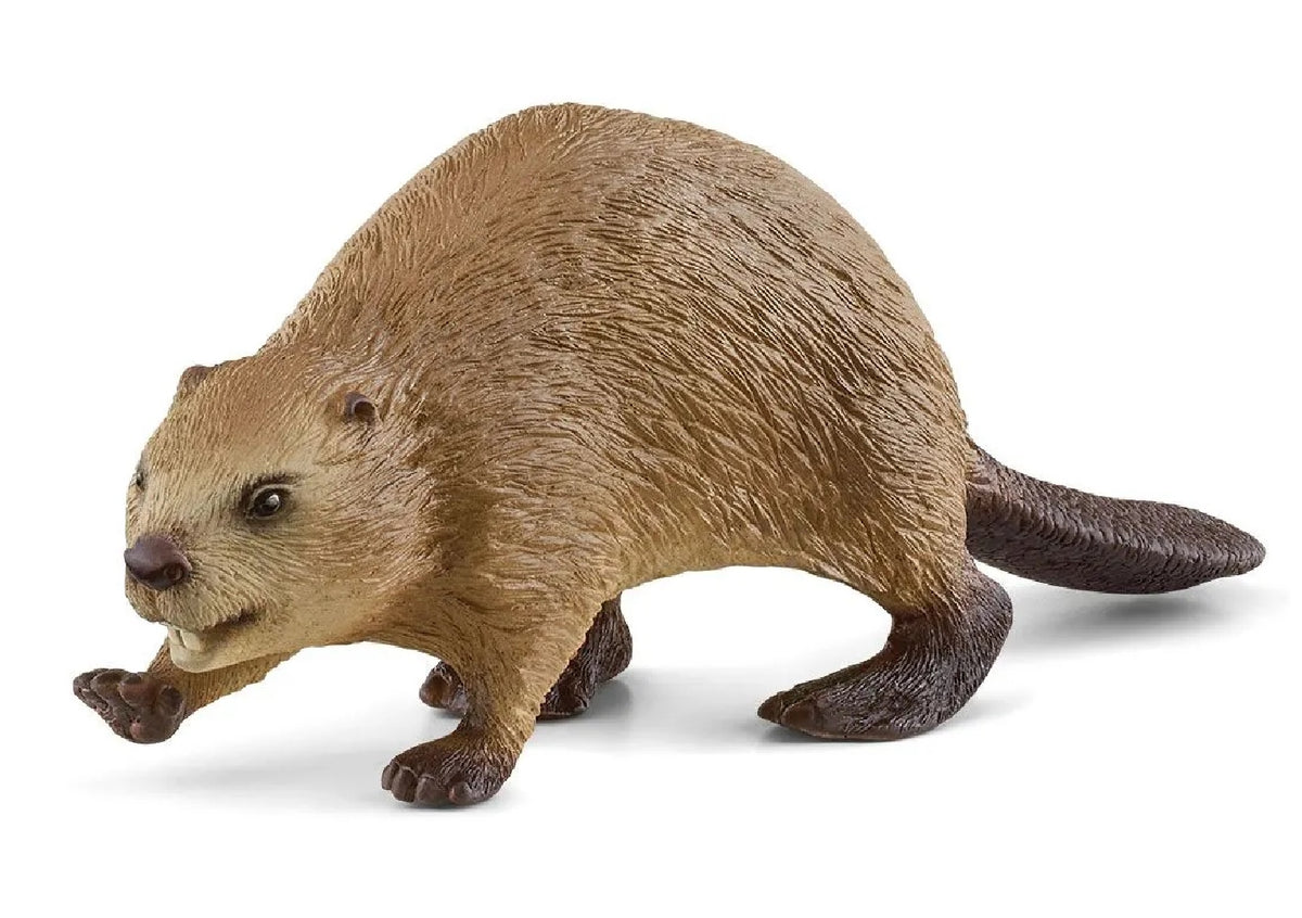 Schleich 14855 Beaver Toy Animal Figure, Brown, Plastic